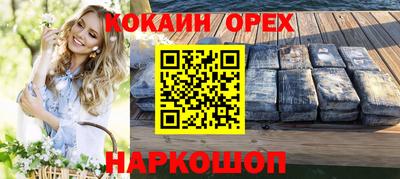 крисы Моздок