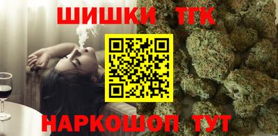 крисы Моздок