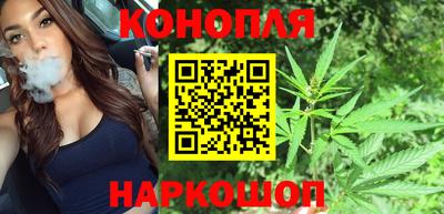 крисы Моздок