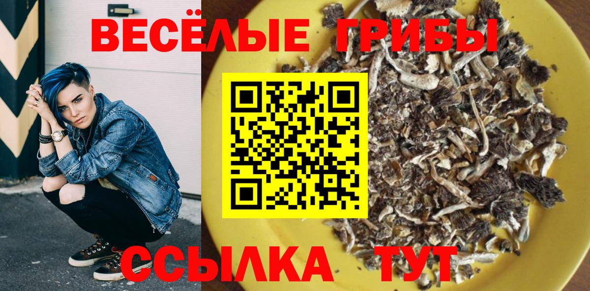Галлюциногенные грибы прущие грибы Шарыпово