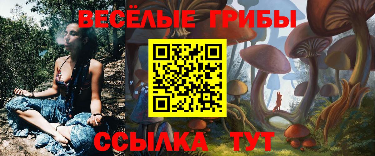Псилоцибиновые грибы MAGIC MUSHROOMS  Вход с VPN  Шарыпово 